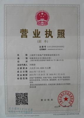 资质证书与专业力量 上海哲宁房地产营销策划的核心竞争力